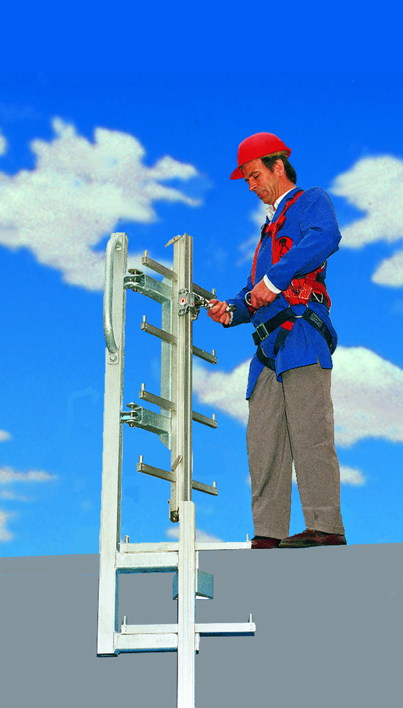 Einschwenkbare Einstieghilfen Einschwenkbare Einstieghilfen