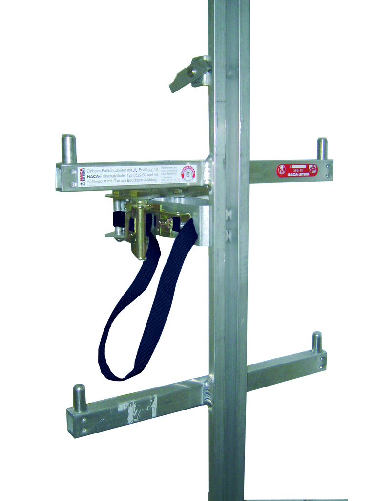 Einholm-Leitern Mobil aus Aluminium Einholm-Leitern Mobil aus Aluminium