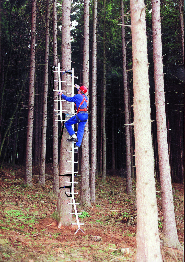 Einholm-Leitern Mobil aus Aluminium Einholm-Leitern Mobil aus Aluminium