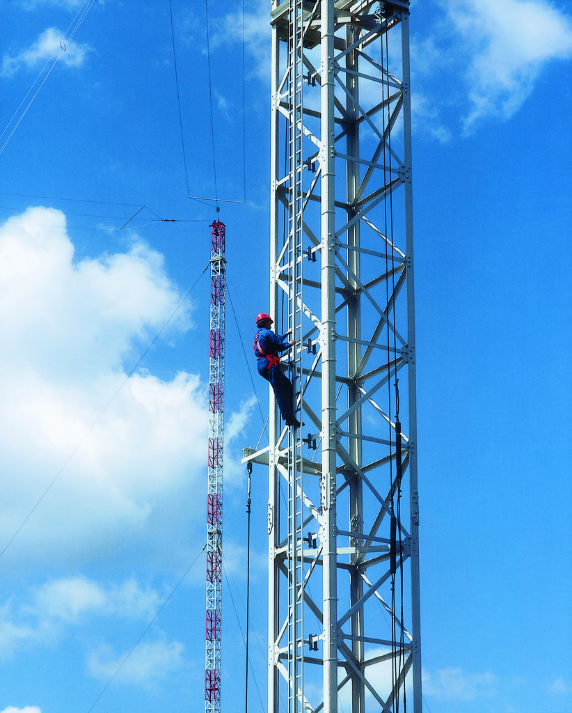 Einholmleiter aus Aluminium mit durchgehnder seitlicher  Abrutschsicherung Einholmleiter aus Aluminium mit durchgehnder seitlicher  Abrutschsicherung